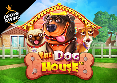 The Dog House